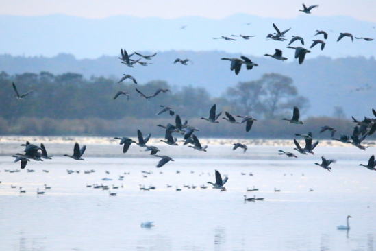 圏域紹介イメージ