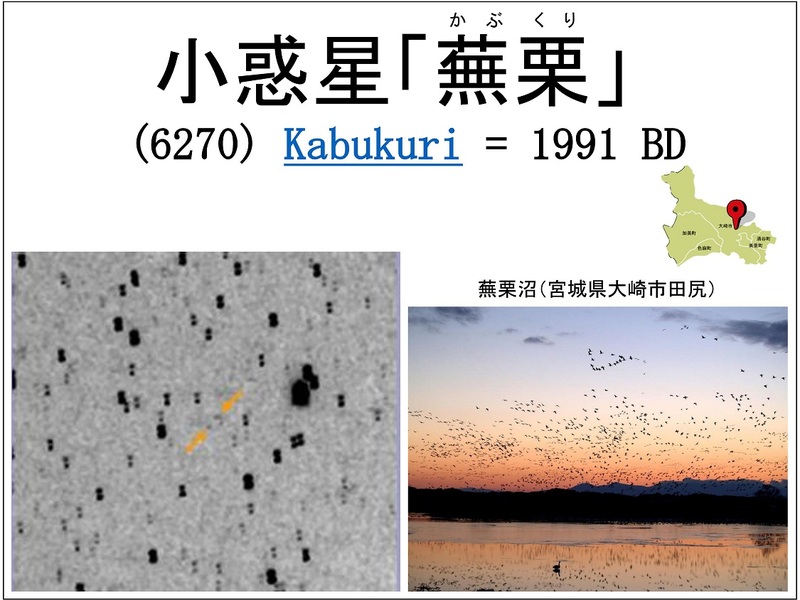 image567 小惑星「蕪栗」