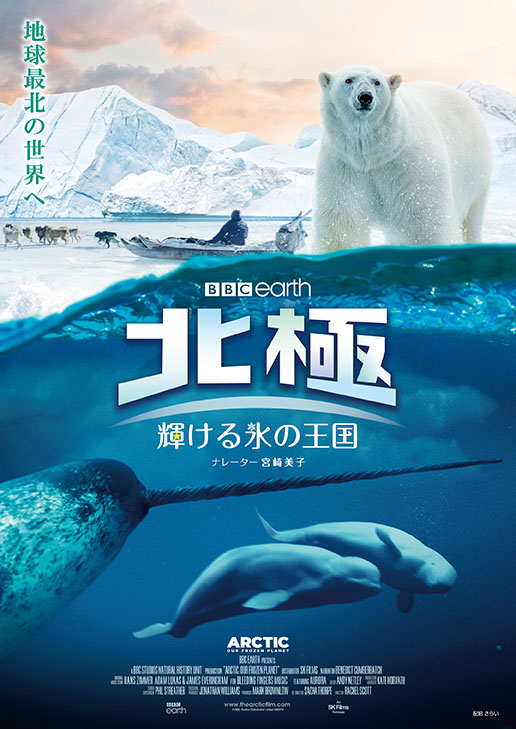 北極WEB用 北極WEB用